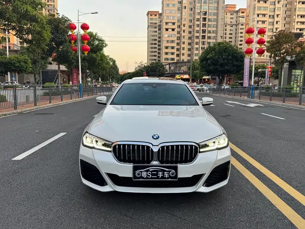 BMW 5 Series 2021 из CN, фото 3