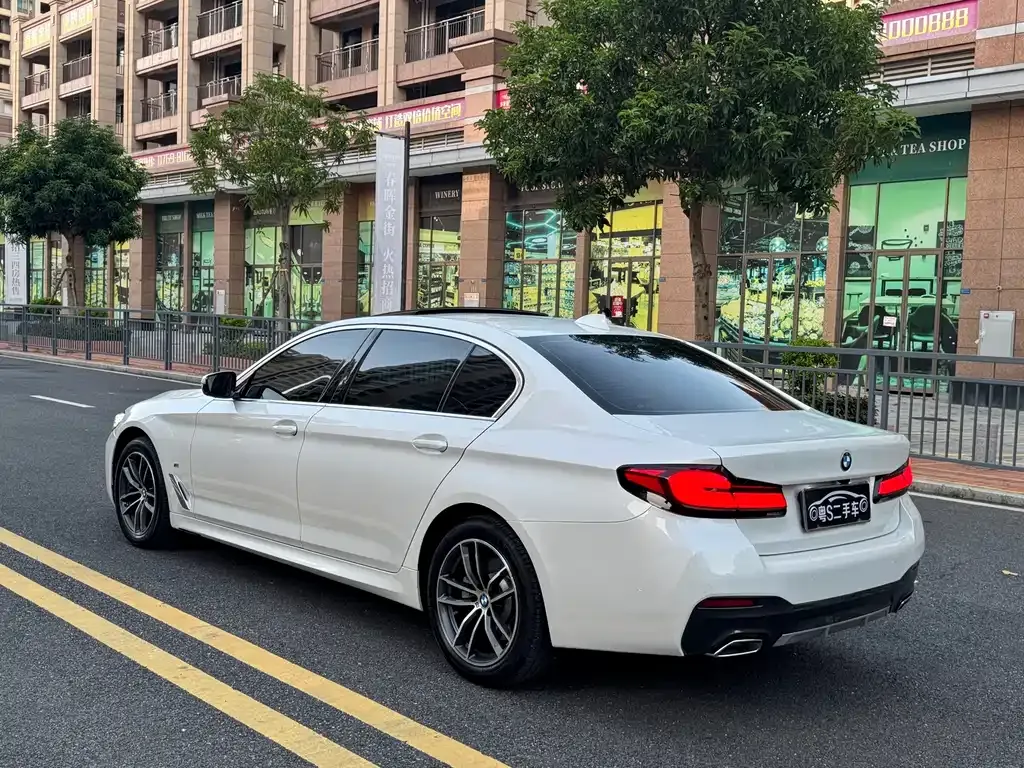BMW 5 Series 2021 из CN, фото 4