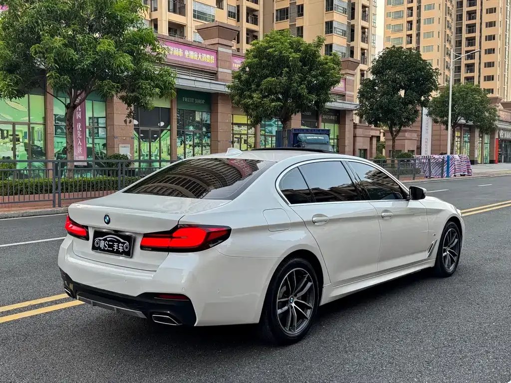BMW 5 Series 2021 из CN, фото 5