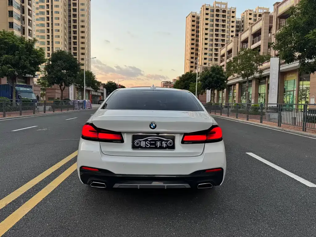 BMW 5 Series 2021 из CN, фото 6