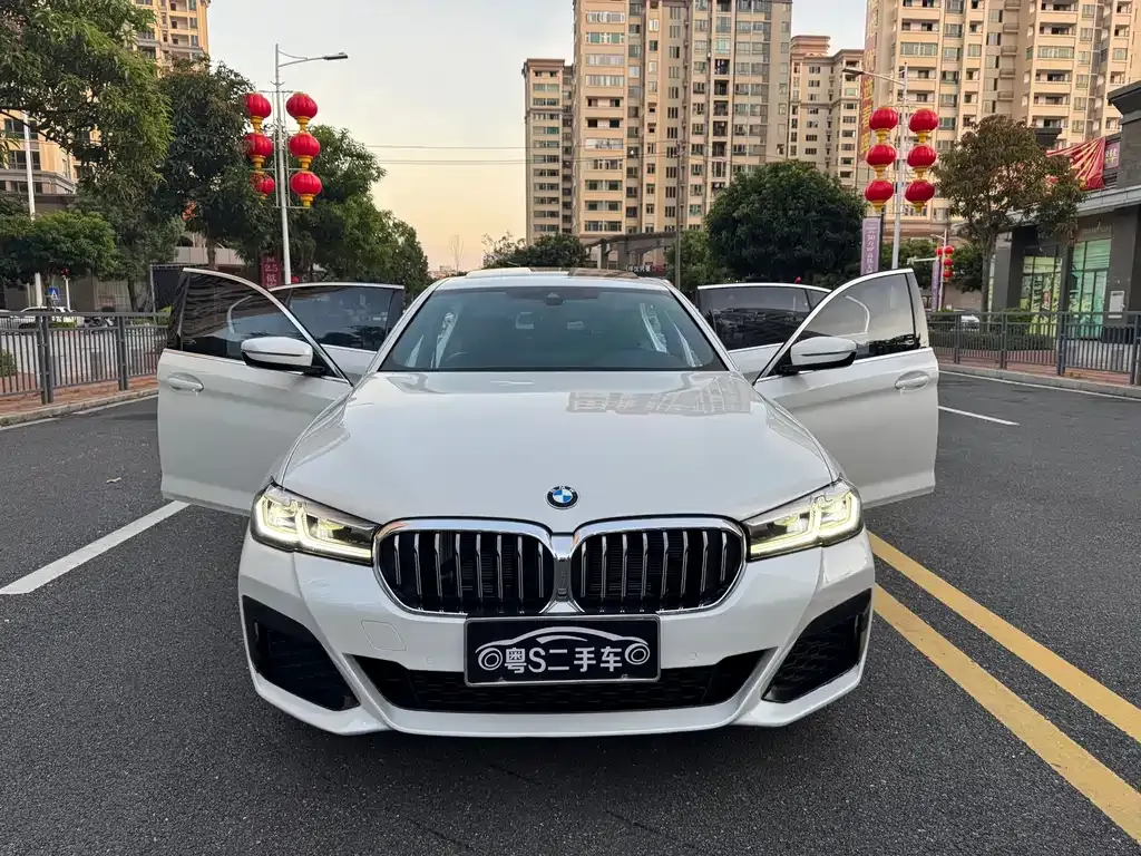 BMW 5 Series 2021 из CN, фото 7