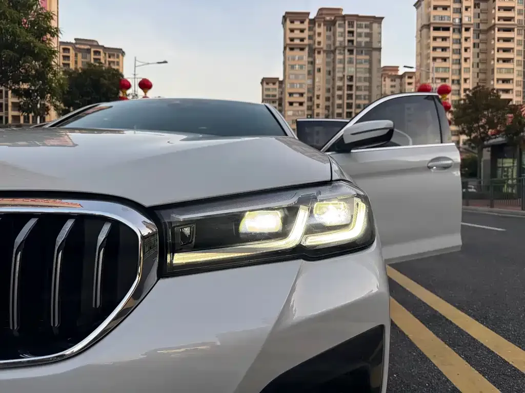 BMW 5 Series 2021 из CN, фото 8