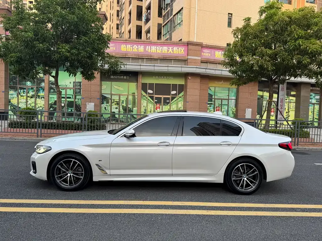 BMW 5 Series 2021 из CN, фото 9