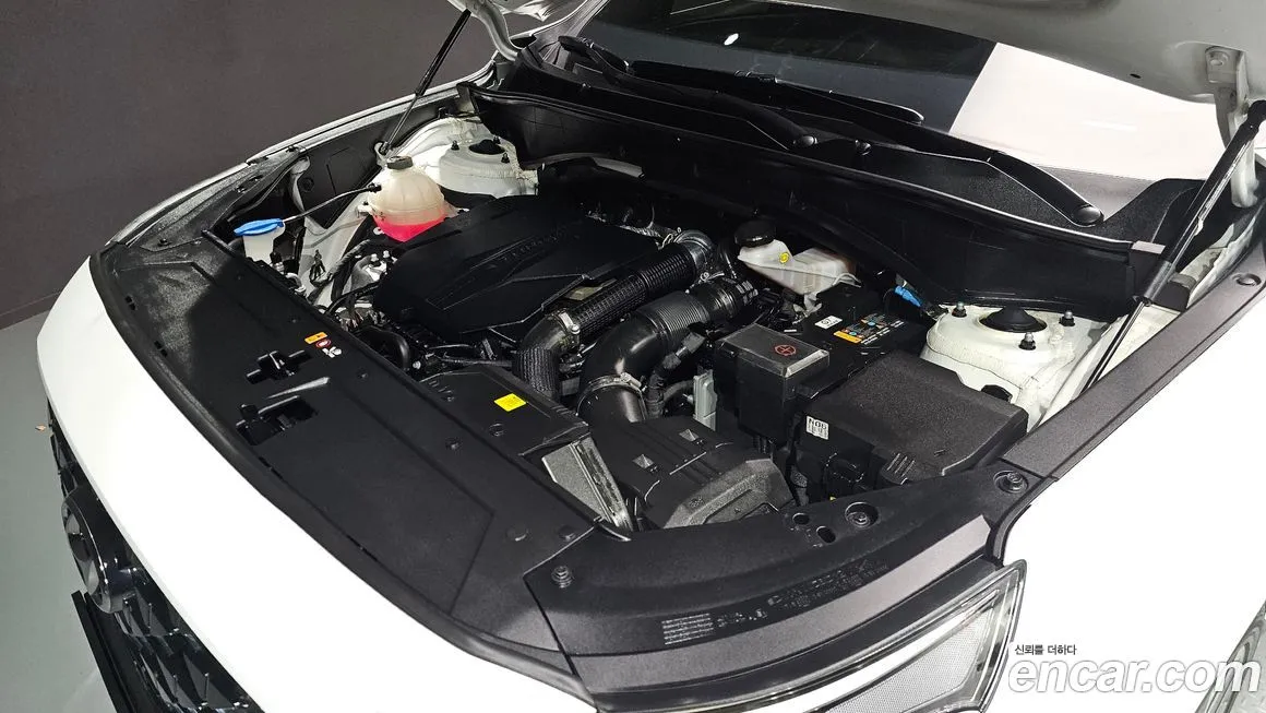 [object Object] Santafe 2023 из KR, фото 6