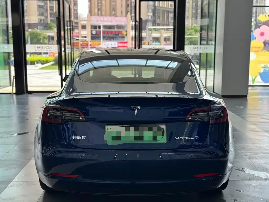 Tesla Model 3 2021 из CN, фото 5