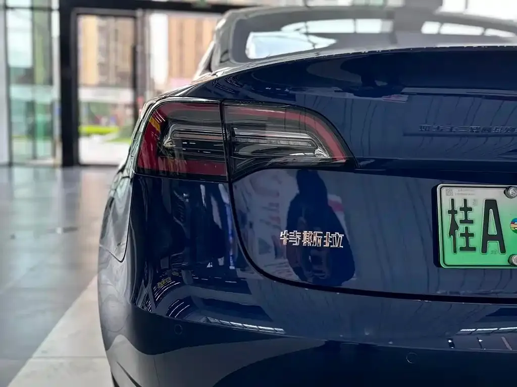Tesla Model 3 2021 из CN, фото 7