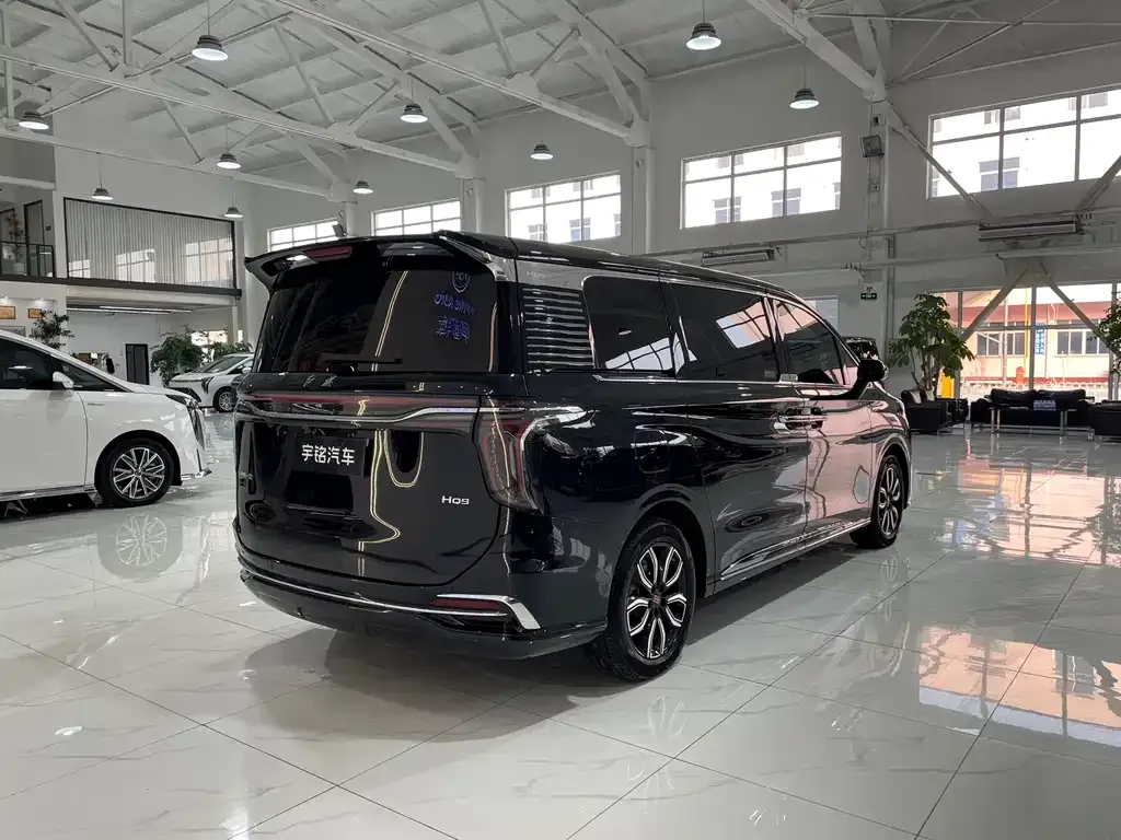Hongqi HQ9 — фото 6