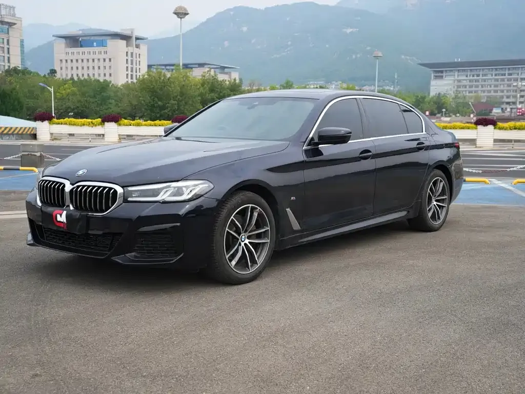 BMW 5 Series 2022 из CN, фото 1