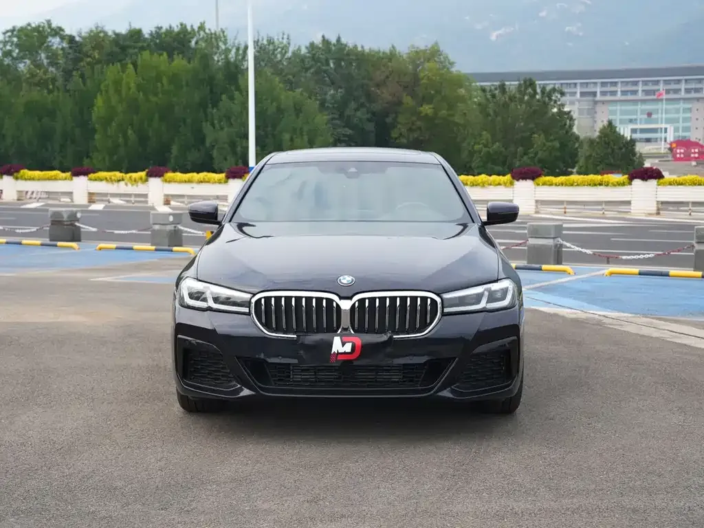 BMW 5 Series 2022 из CN, фото 2