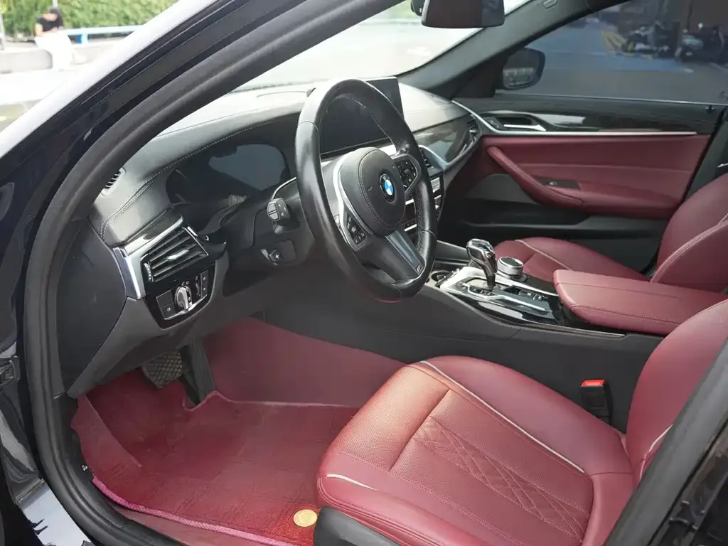 BMW 5 Series 2022 из CN, фото 5