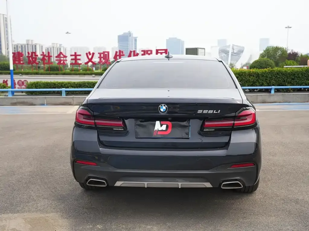 BMW 5 Series 2022 из CN, фото 9