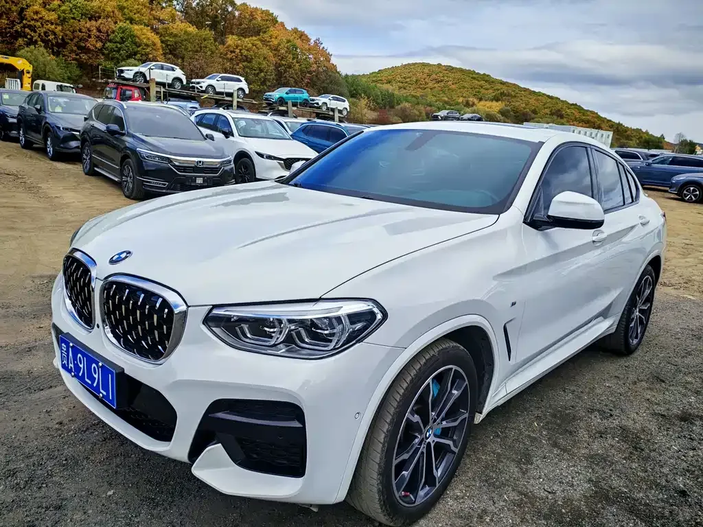 BMW X4 2021 из CN, фото 1