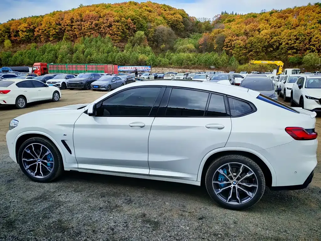 BMW X4 2021 из CN, фото 10
