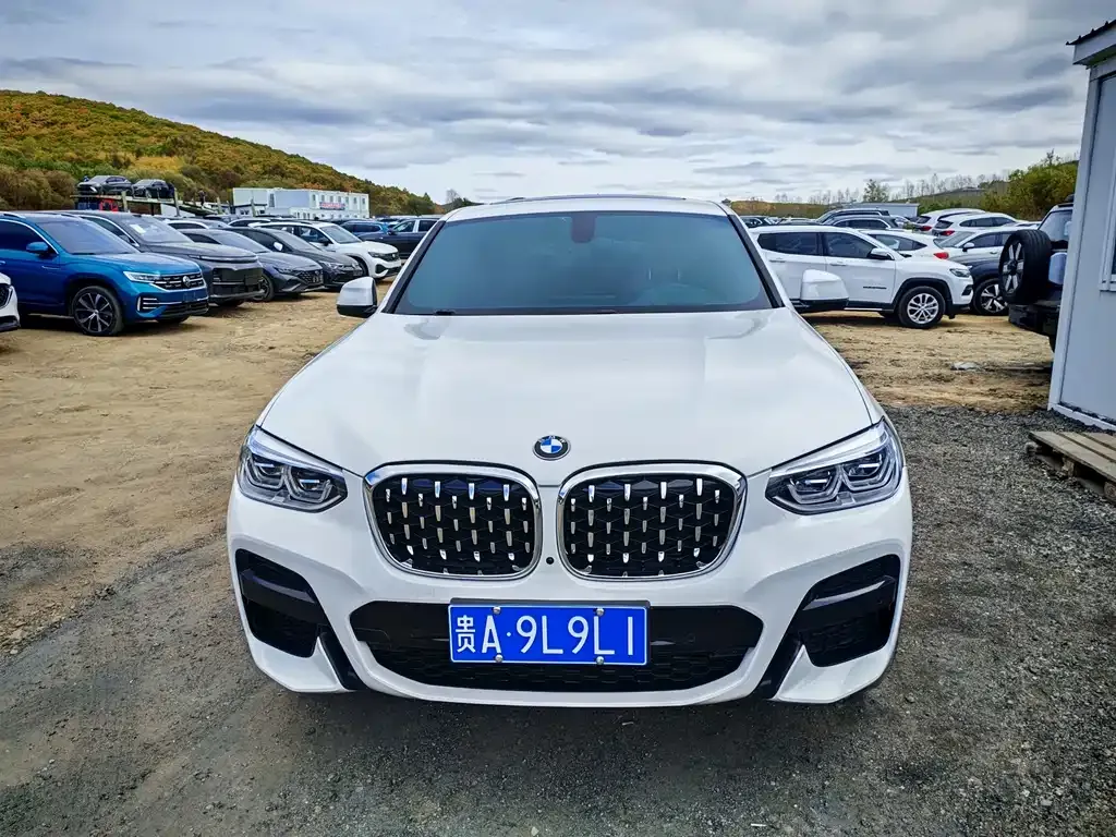 BMW X4 2021 из CN, фото 2