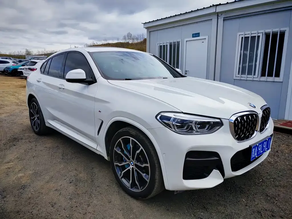 BMW X4 2021 из CN, фото 3