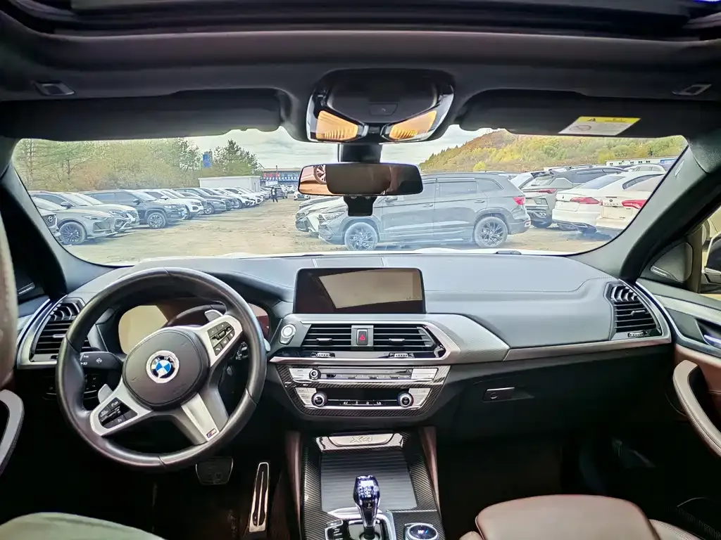 BMW X4 2021 из CN, фото 4