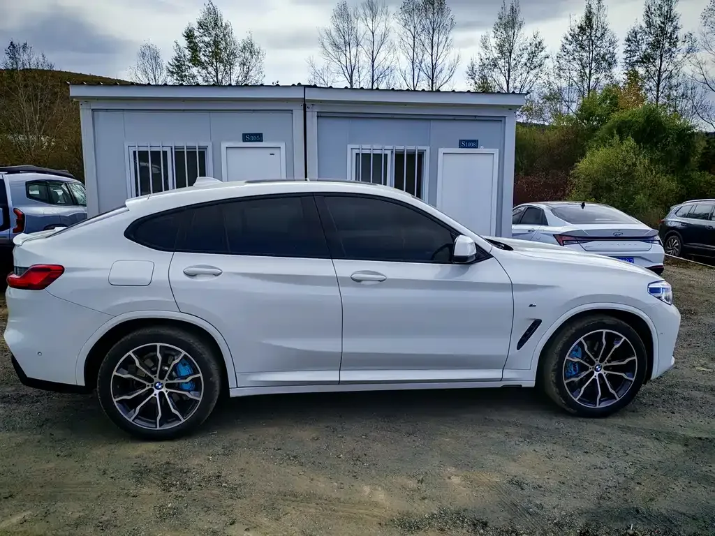 BMW X4 2021 из CN, фото 6