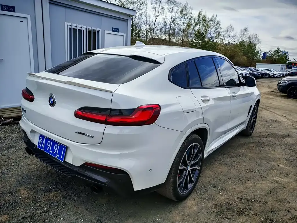 BMW X4 2021 из CN, фото 7