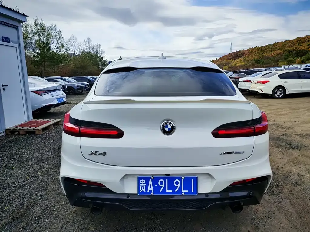 BMW X4 2021 из CN, фото 8