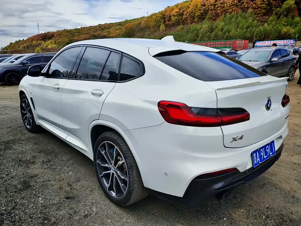 BMW X4 2021 из CN, фото 9