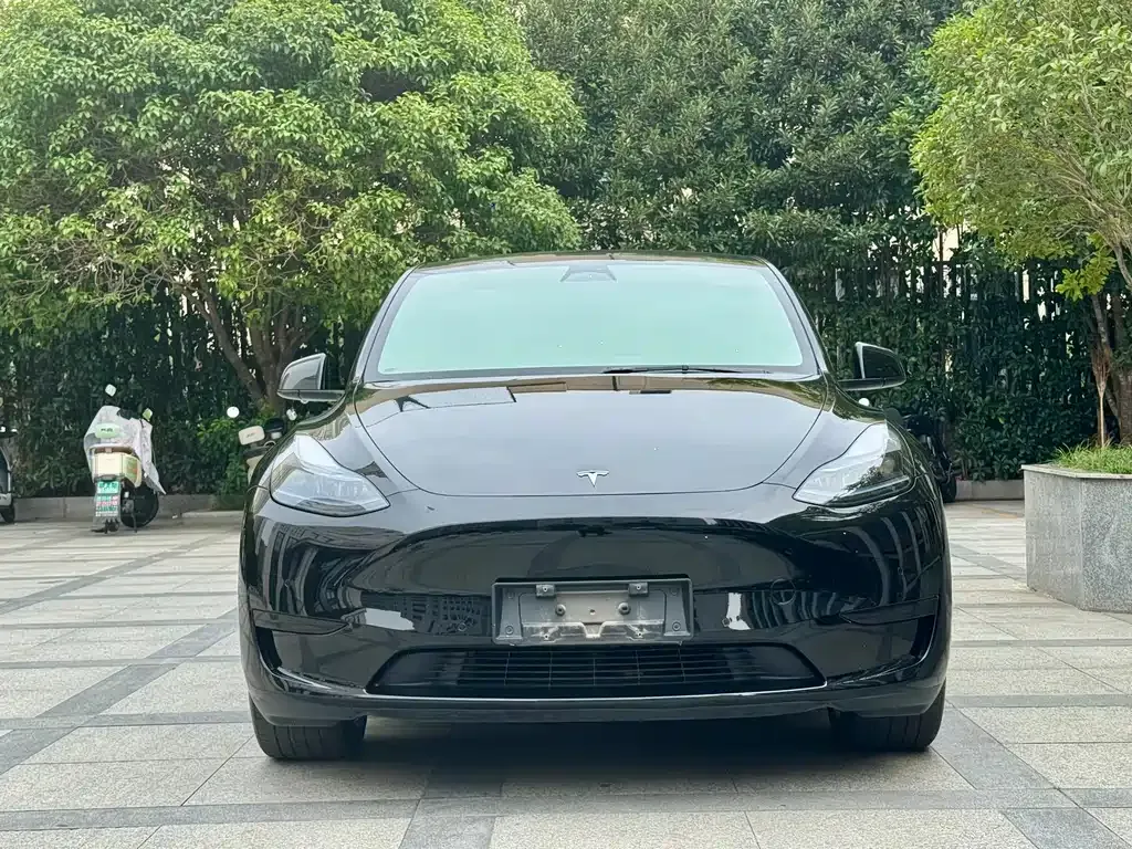 Tesla Model Y 2023 из CN, фото 1