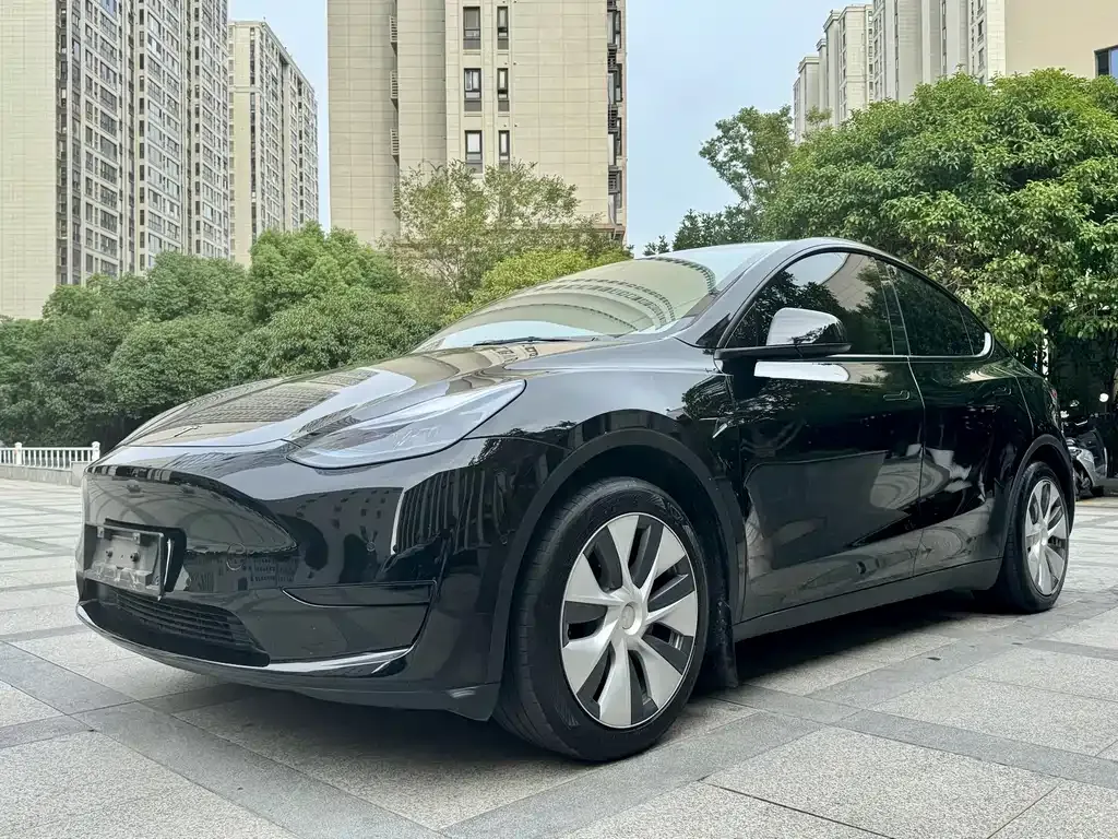 Tesla Model Y 2023 из CN, фото 2