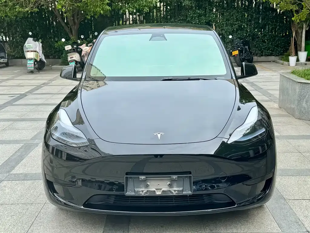 Tesla Model Y 2023 из CN, фото 3