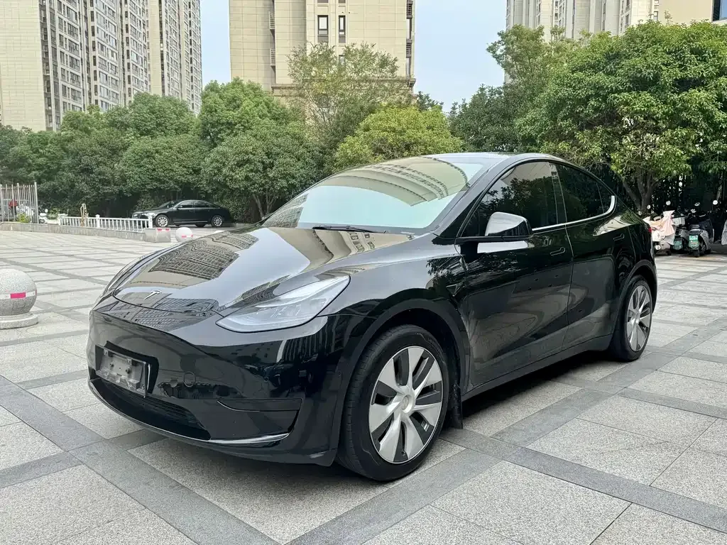 Tesla Model Y 2023 из CN, фото 5