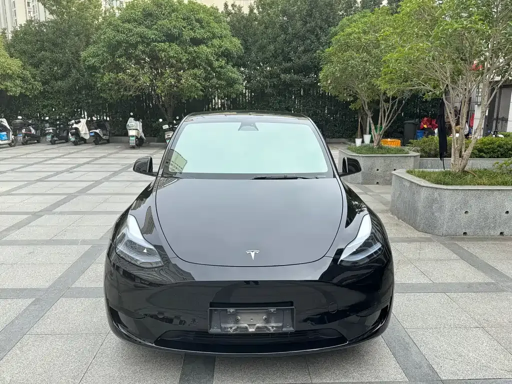 Tesla Model Y 2023 из CN, фото 6