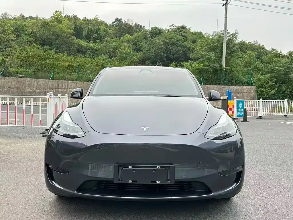 [object Object] Model Y 2021 из CN, фото 2