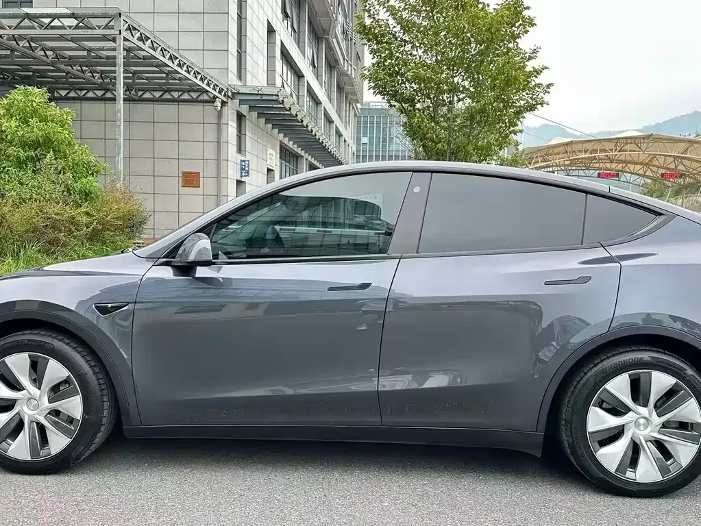 [object Object] Model Y 2021 из CN, фото 3