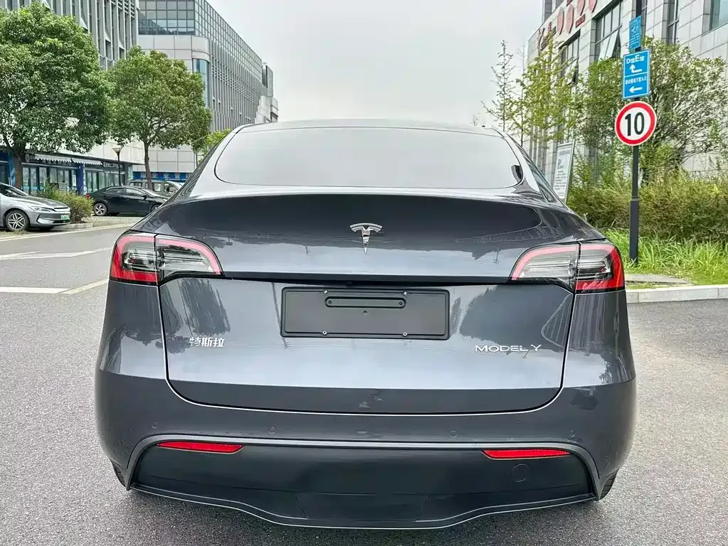 [object Object] Model Y 2021 из CN, фото 4