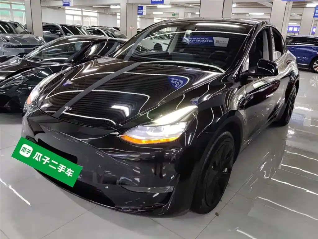 Tesla Model Y 2021 из CN, фото 1