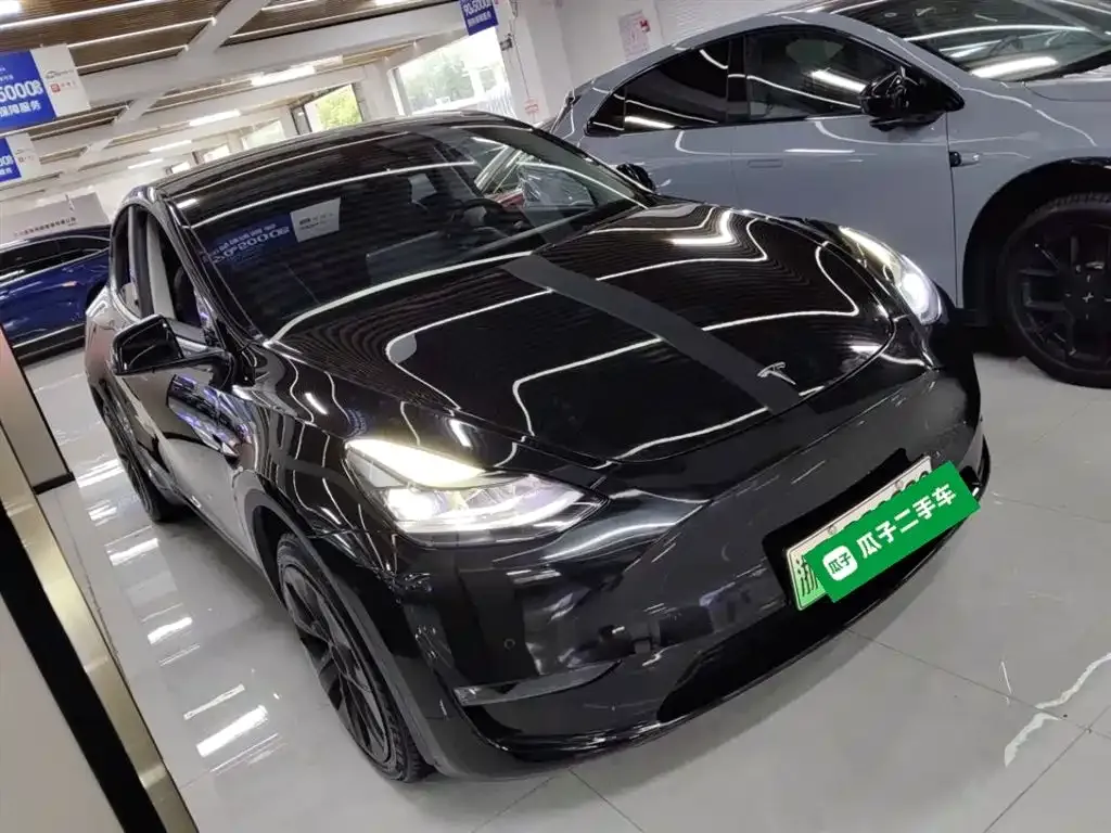 Tesla Model Y 2021 из CN, фото 4