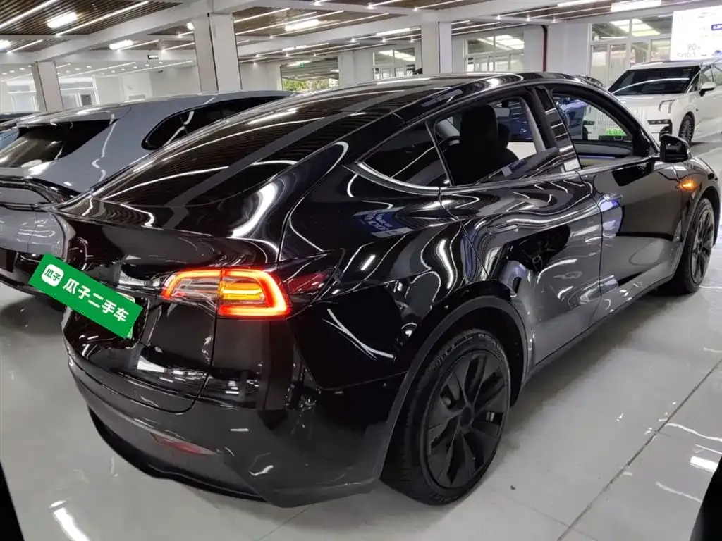 Tesla Model Y 2021 из CN, фото 7