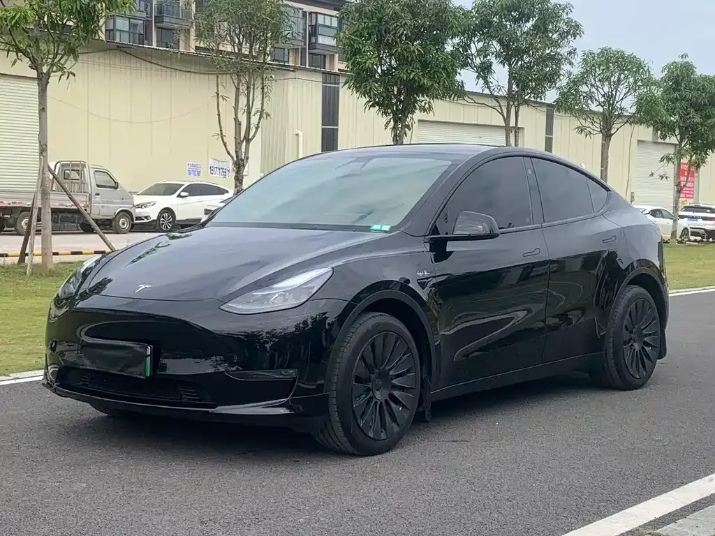 Tesla Model Y — фото 1