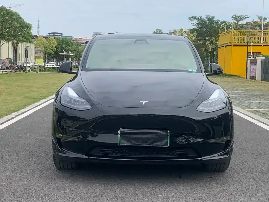 Tesla Model Y — фото 2