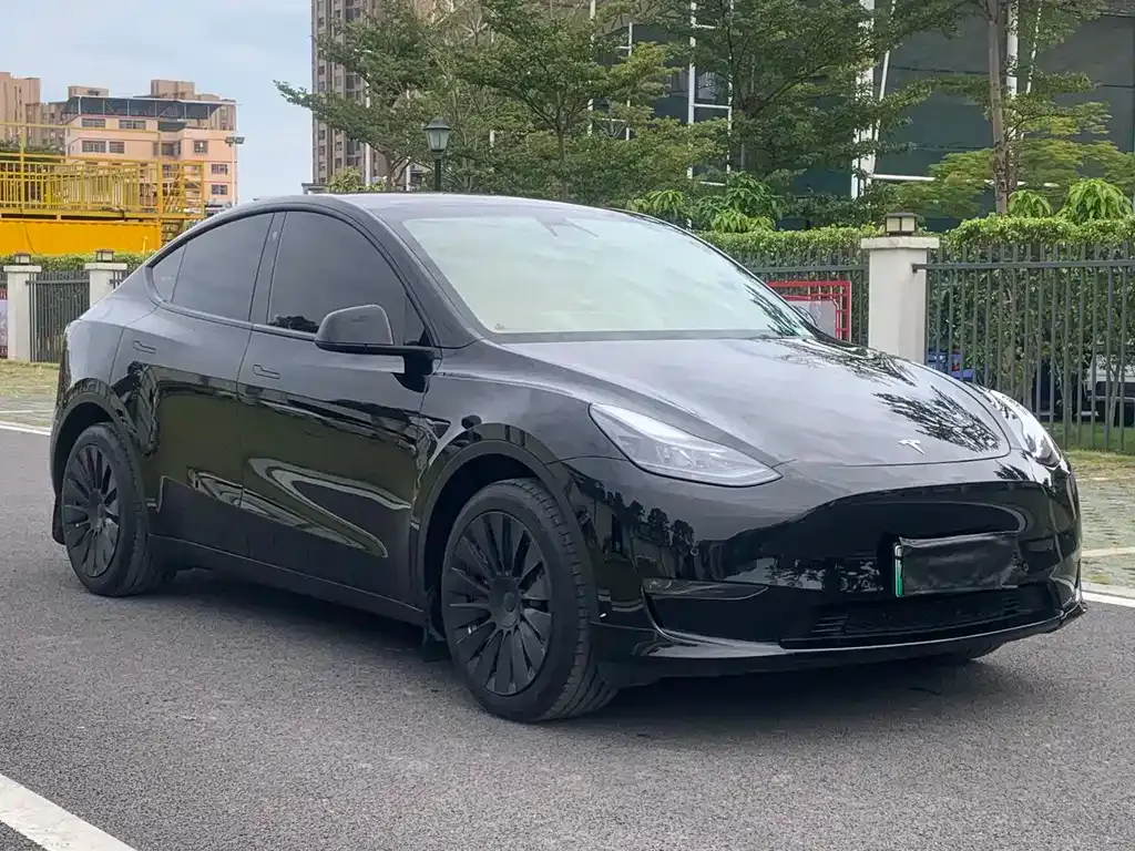 Tesla Model Y — фото 3