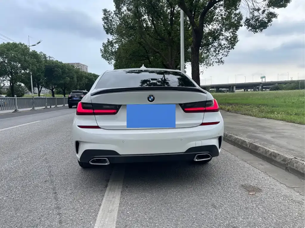 BMW 3 Series 2021 из CN, фото 6
