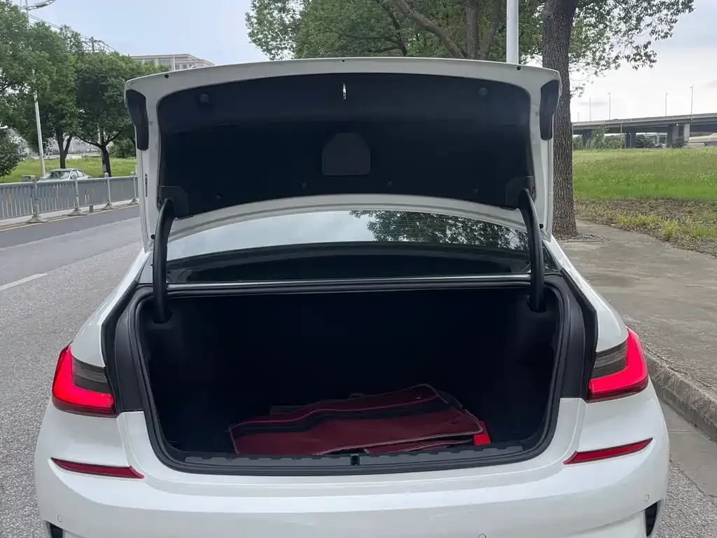 BMW 3 Series 2021 из CN, фото 8