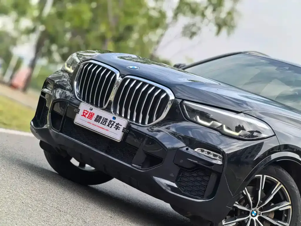 BMW X5 (Import) 2021 из CN, фото 5