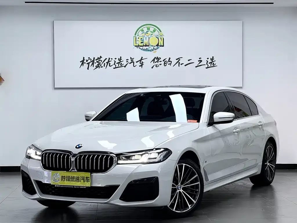 BMW 5 Series 2023 из CN, фото 1