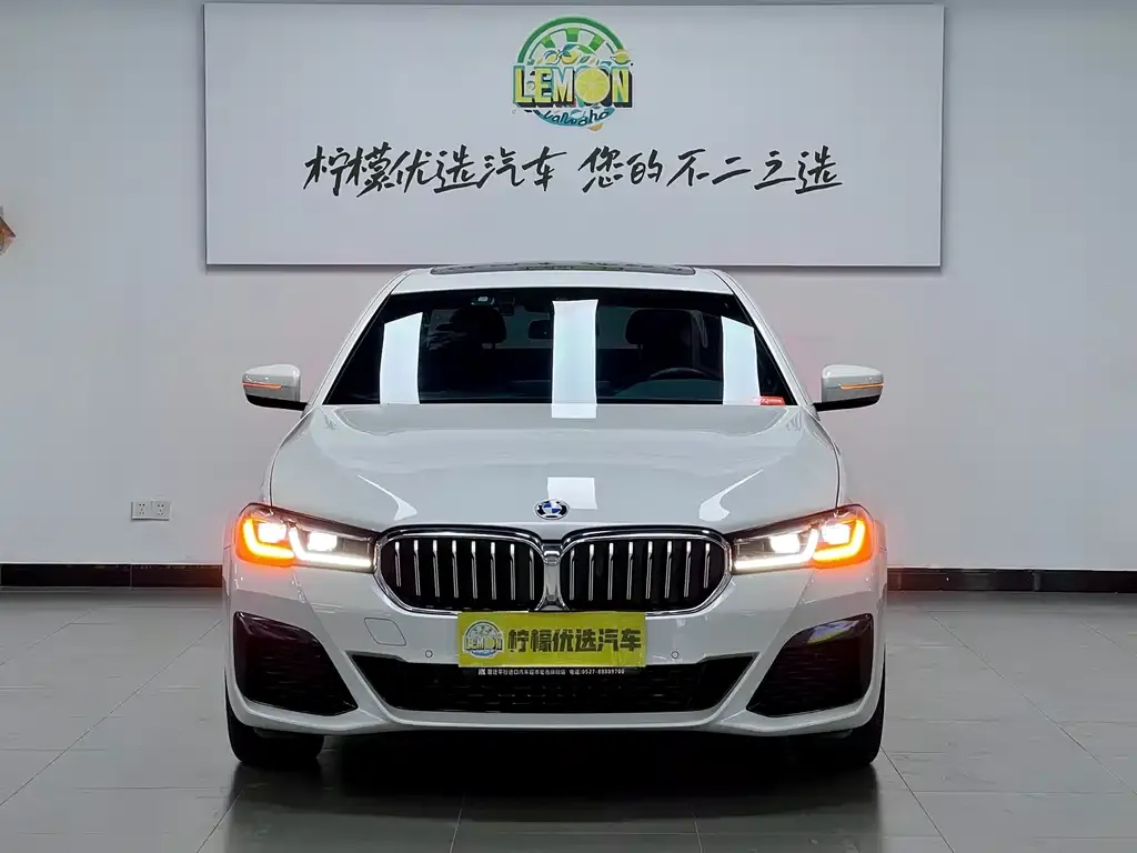 BMW 5 Series 2023 из CN, фото 2