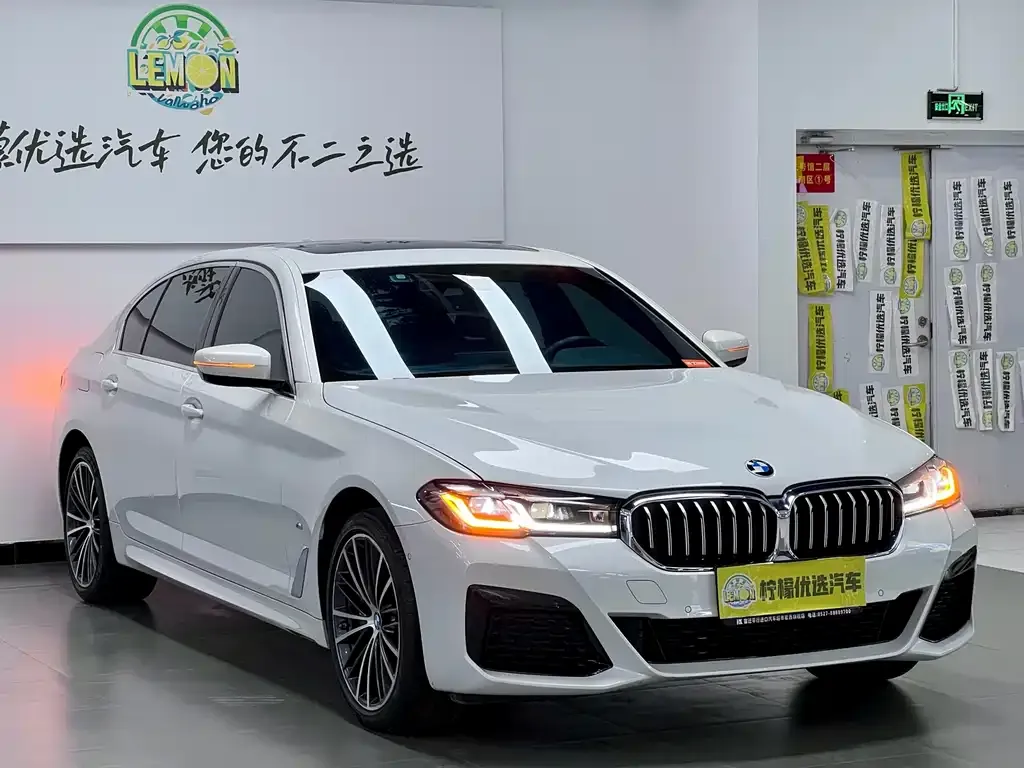 BMW 5 Series 2023 из CN, фото 3