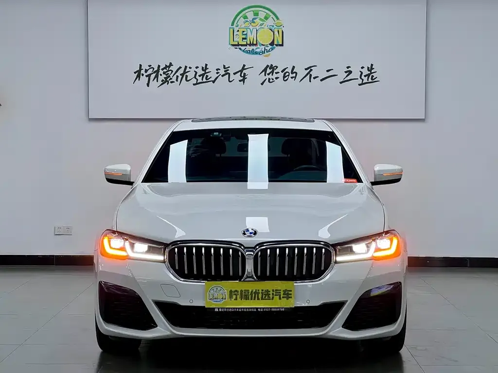 BMW 5 Series 2023 из CN, фото 4