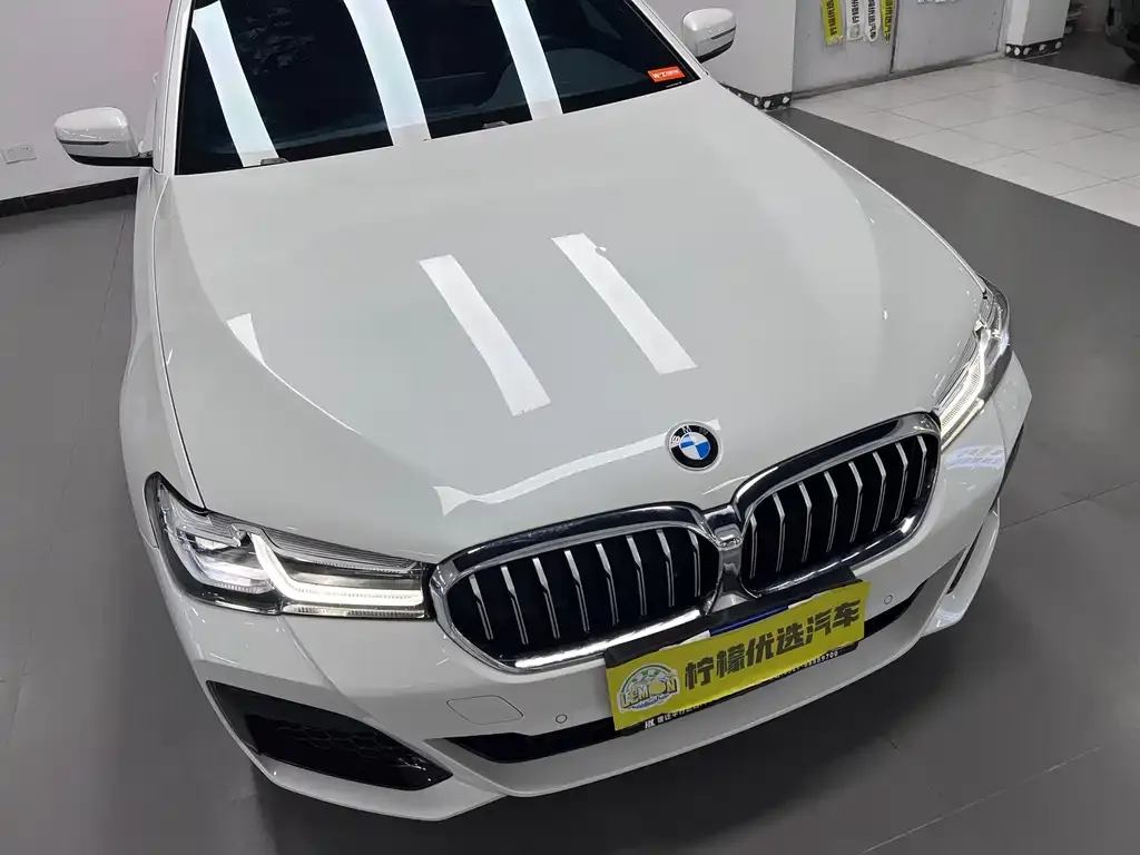 BMW 5 Series 2023 из CN, фото 5