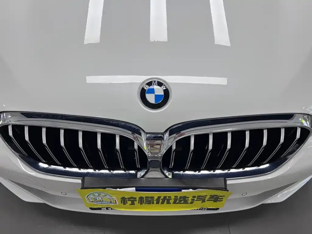 BMW 5 Series 2023 из CN, фото 8