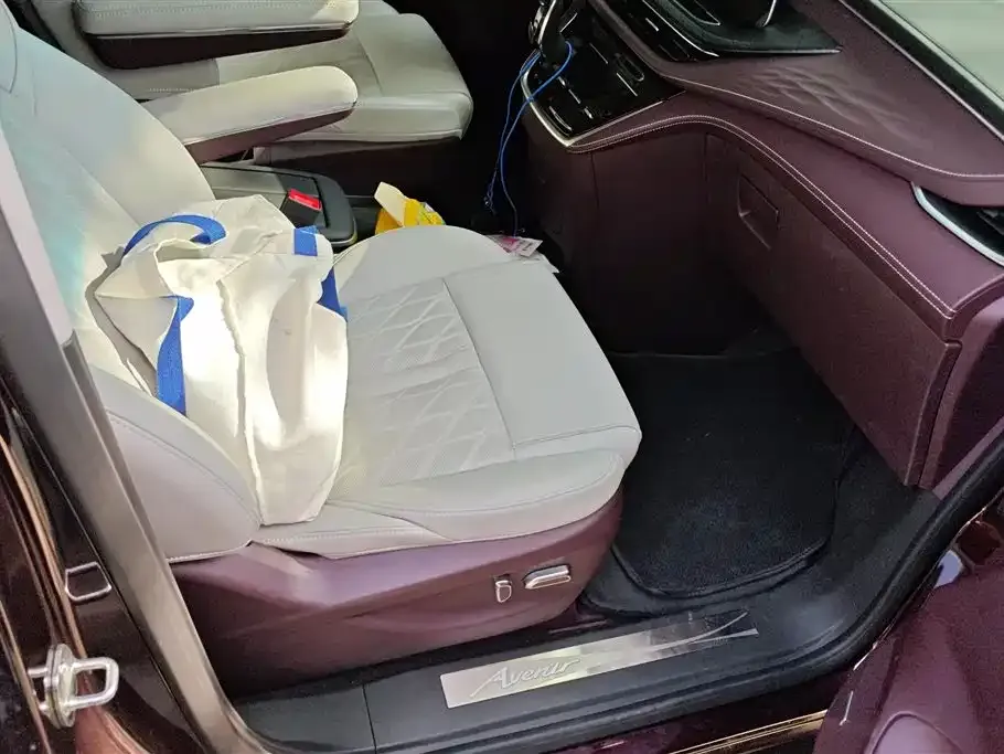 Buick GL8 2021 из CN, фото 8