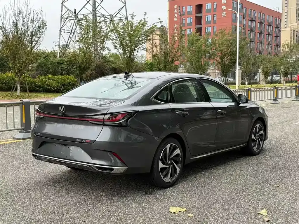 Changan Ruicheng PLUS 2025 из CN, фото 3
