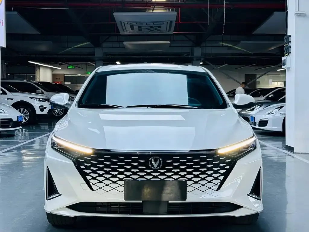 Changan Ruicheng PLUS 2024 из CN, фото 2